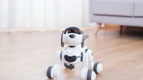 DEERC 18011 RC robot dog