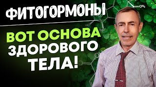 ФитоГормоны - Вот Основа Здорового Тела, Где их Взять...!