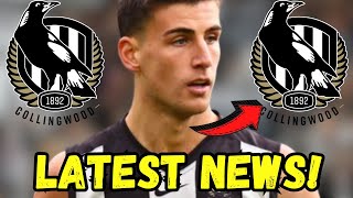 Breaking News! Nobody Expected It! Nick Daicos Confirmed It to Collingwood Now! #afl #news