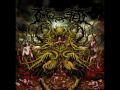 Ingested - Contorted Perception