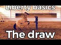 How to teach your horse liberty basics drawing them in