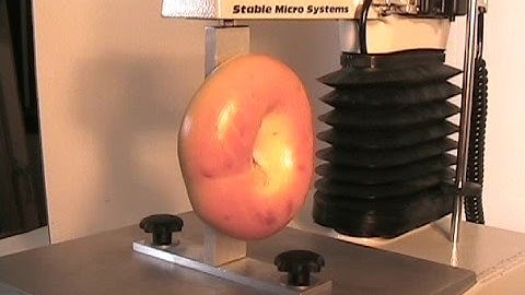 Pulling Apart a Bagel with the TAXTPlus Texture Analyzer
