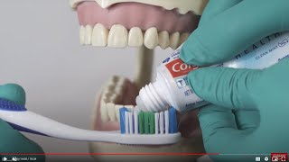 Brushing | Colgate Bright Smiles, Bright Futures® x My Dental Key