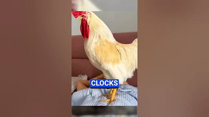 AMAZING SQUID GAMES ALARM CLOCK ⏰🤯 #Shorts #facts