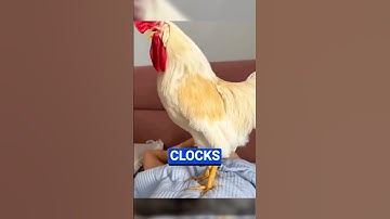 AMAZING SQUID GAMES ALARM CLOCK ⏰🤯 #Shorts #facts
