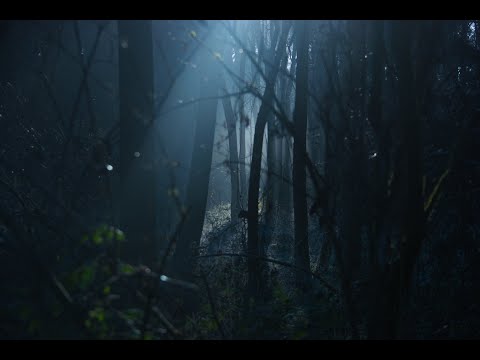 10 ისტორია პარალელური სამყაროდან