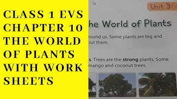 CLASS 1 EVS CHAPTER 10 WORLD OF PLANTS