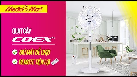 Quạt cây cao cấp 5 cánh Coex: Remote tiện lợi (CF-7315A) - Điện máy MediaMart