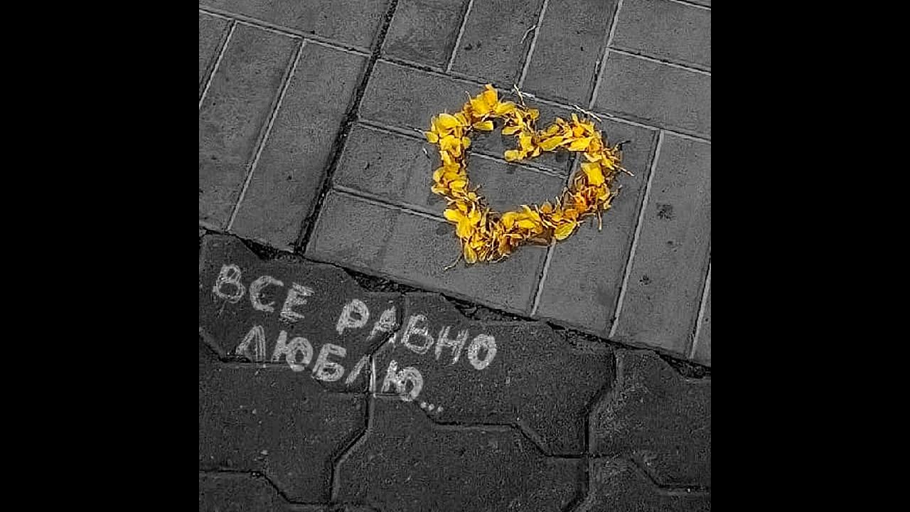 Всё равно тебя люблю. Прикольные фразы про дождь. Человеку все равно. А я ее все равно люблю. А я ее все равно люблю.