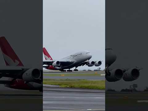 Qantas Airbus A380-800