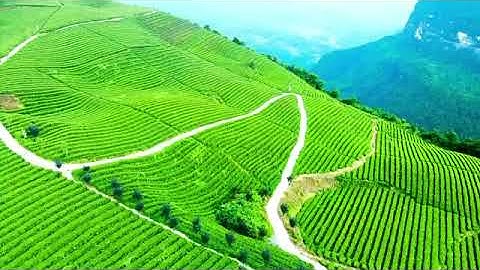 سورة التكوير بصوت الشيخ إبراهيم السعدان