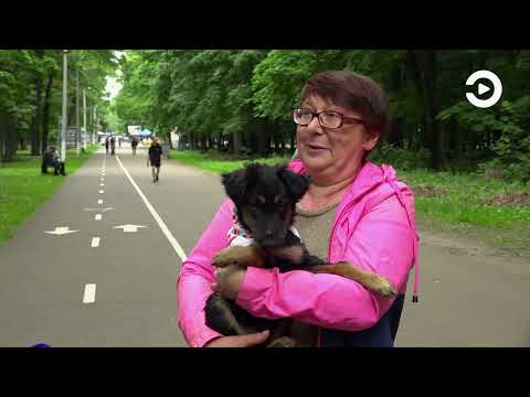 В Пензе состоялась акция «Точка добра»