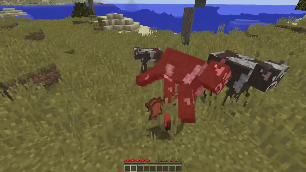 How to get cowhide on Minecraft. YouTube