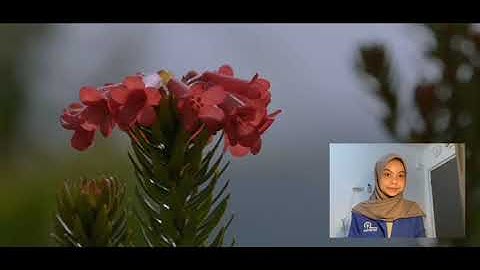 Tugas Mata Kuliah Pembangunan Berkelanjutan (Kelompok 5) SDGs 14 & 15