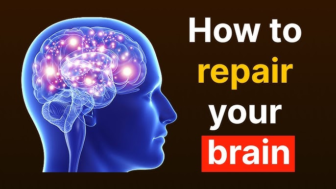 Unlocking The Brain's Self-repair 2024