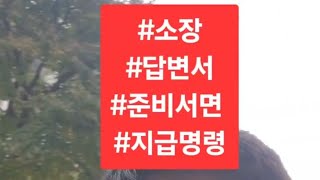 #10976 #소장 #답변서 #준비서면 #내용증명 #법무사전문위원김철중 #법학박사김철중 #지급명령  #동국대겸임교수김철중 010.5027.2030 2025.6.19