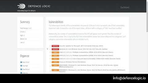 Efficient Vulnerability Reporting