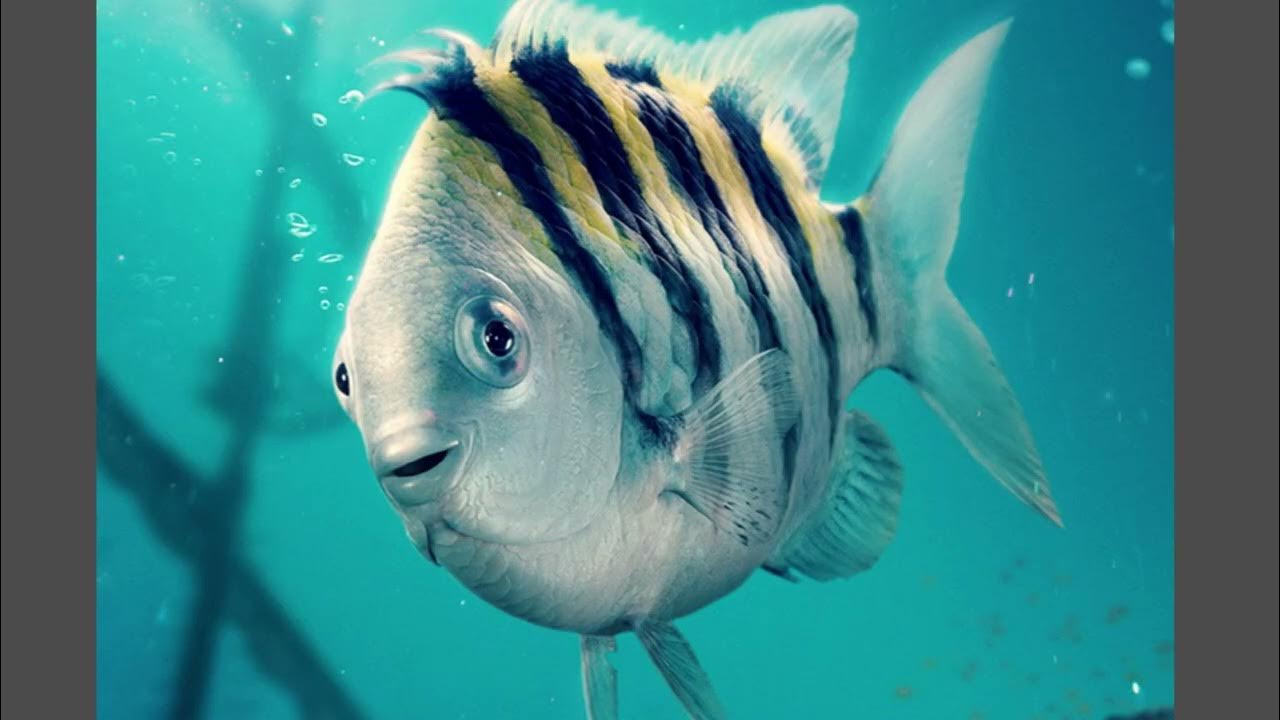 Flounder Live Action Little Mermaid YouTube