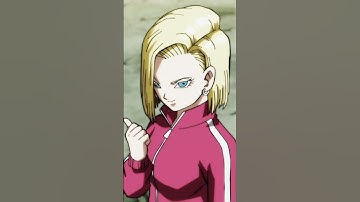 Why Did Android 18 Marry Krillin?