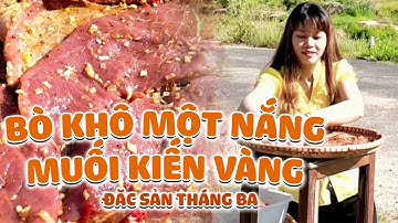 BÒ KHÔ MỘT NẮNG MUỐI KIẾN VÀNG ĐẶC SẢN THÁNG BA | ONE CUBE MEAT | Ẩm thực ĐQ Tây Nguyên