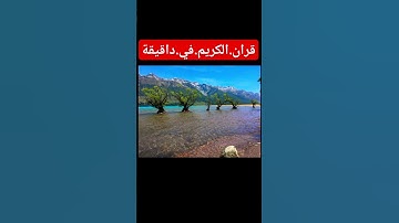 سورة.هود.سعود.الشريم #quran #المصحف #flowers #duet #اكسبلور #لايك #ترند احترم.القران.دقيقة #تيك_توك