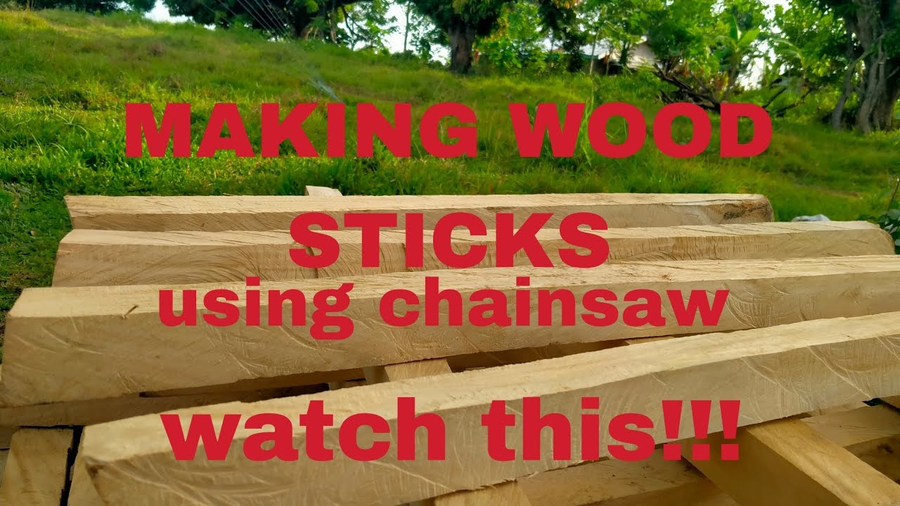 HOW TO MAKE WOOD STICKS CUTTING TREE USING CHAINSAW trendingvideo 