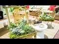 How To - Ken Wingard's DIY Living Succulent Chair - Hallmark Channel How To - Ken Wingard's DIY Living Succulent Chair - Hallmark Channel