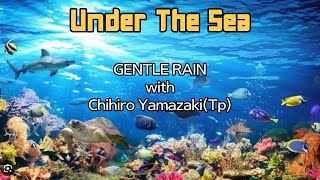 Under The Sea - 재즈 트리오 젠틀레인(Gentle Rain) with Chihiro Yamazaki, Live, 2023 / 재즈드러머 서덕원 Dukwon Seo