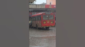❤️Thakkar Bazar Bus Stand Nashik | Msrtc#msrtc #stbus #lalpari #travel