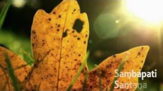 Santana - Samba pa ti ♫♥♫