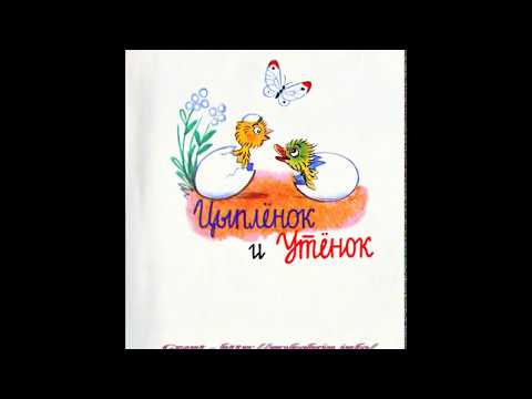 Сутеев Владимир - Утенок и цыпленок