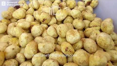 Chinese Chestnut Peeling Machine