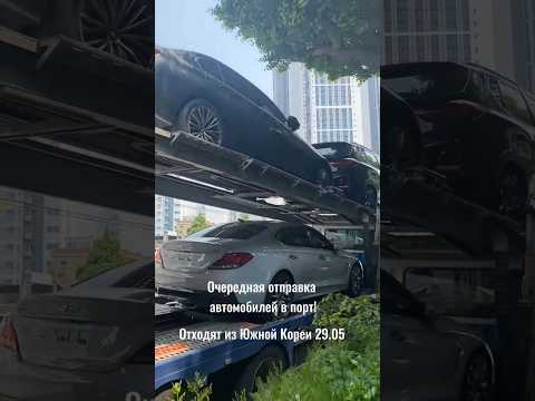 Очередная отправка автомобилей в порт из Южной Кореи🔥 #автоизюжнойкореи #АвтоПодбор #АвтоНаЗаказ