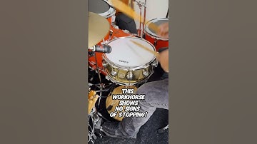 What is your workhorse snare drum & why is it? #shorts #short #snaredrum #sound #tune #tuning #drums