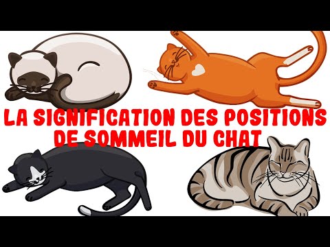 Ce que la