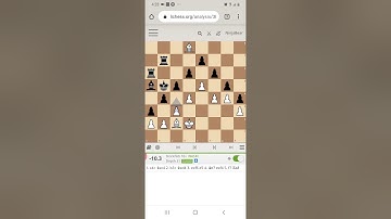 Horizon Effect | Chess Engine Can