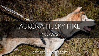Aurora Husky Hike In Norway