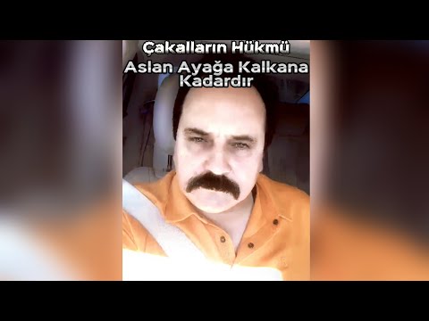 Çakalların Hükmü Aslan Ayağa Kalkana Kadardır