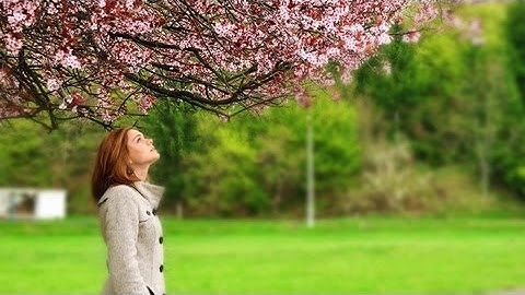 How to create Depth of Field in Photoshop Tutorial