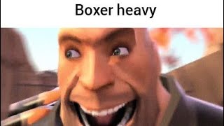 Hoovey Vs Fat Scout Vs Boxer Heavy