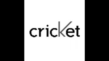 (FAKE) Samsung SCH-A310 - Startup and Shutdown (Cricket, 2002)  #oldphone #mobilecarrier #samsung