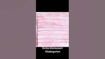 Wooden Hierarchical Material