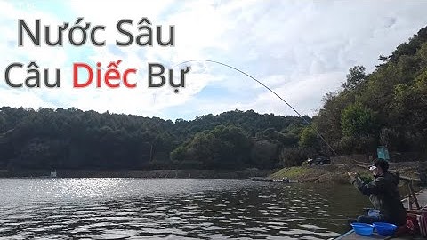 Nước Sâu Câu Diếc Bự Vào Mùa Chuyển Đông