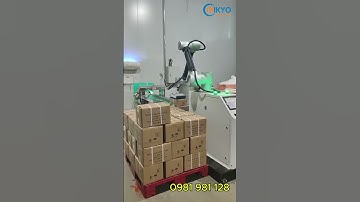 Cobot tự động xếp thùng lên pallet #cobot  #robotcongtac #intechgroup #palletizingrobot