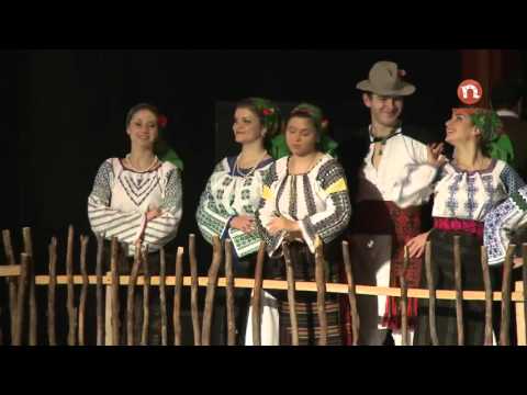 Laura Lavric Sarba Din Flamanzi