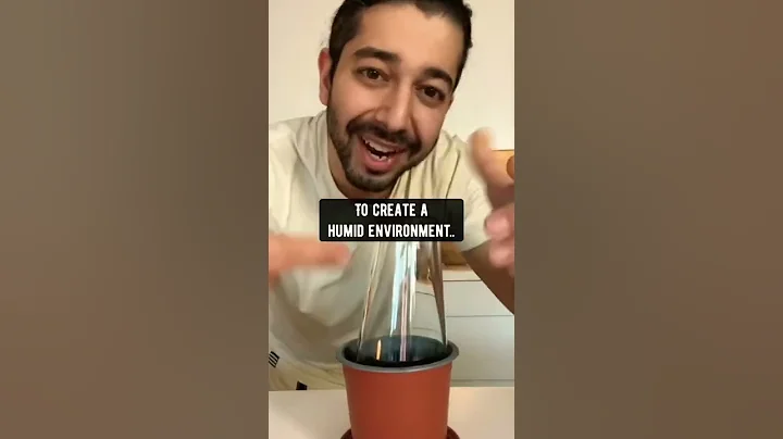 How to Grow Strawberries | creative explained