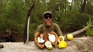 Coastal Foraging Tropical Beachcraft Fruits And Vegetables Pt 1