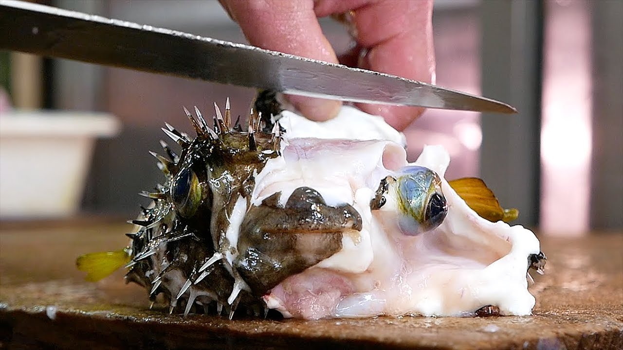 Japanese Street Food - PUFFERFISH Puffer Fish Okinawa Seafood Japan | Travel Thirsty