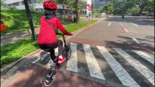 GOWES TIPIS2 WITH IPS