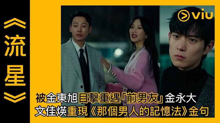 《流星》第8集│被金東旭目擊重遇「前男友」金永大　文佳煐重現《那個男人的記憶法》金句│Viu韓劇線上看 - 天天要聞